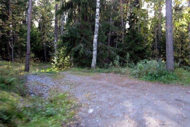 101002-ix-088.jpg ht=427