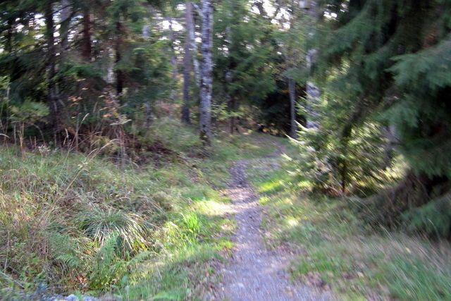 101002-ix-089.jpg ht=427