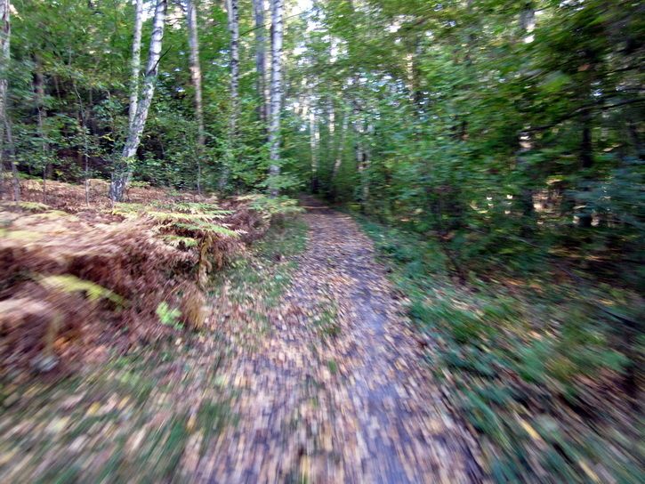 101002-ix-188.jpg ht=544