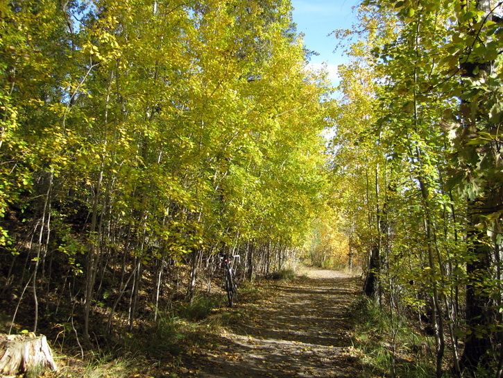 101013-ix-26.jpg ht=544