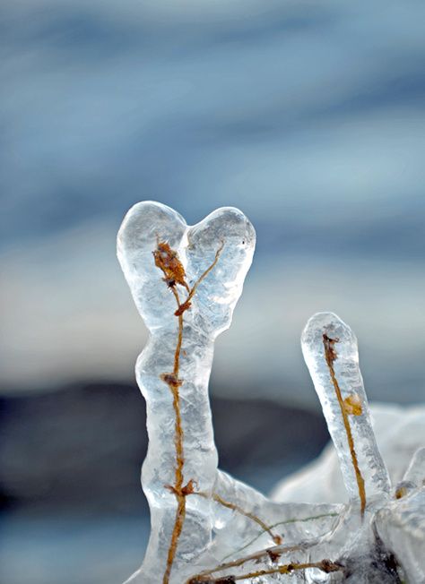 101126031kopiera.jpg ht=652