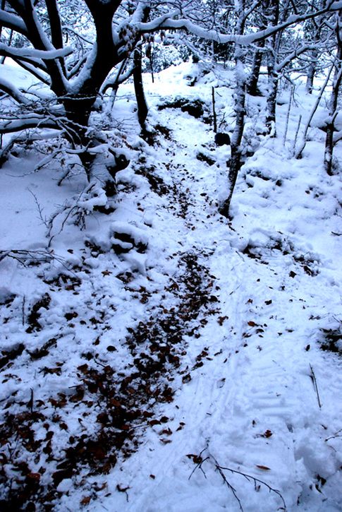 101209020kopiera.jpg ht=725