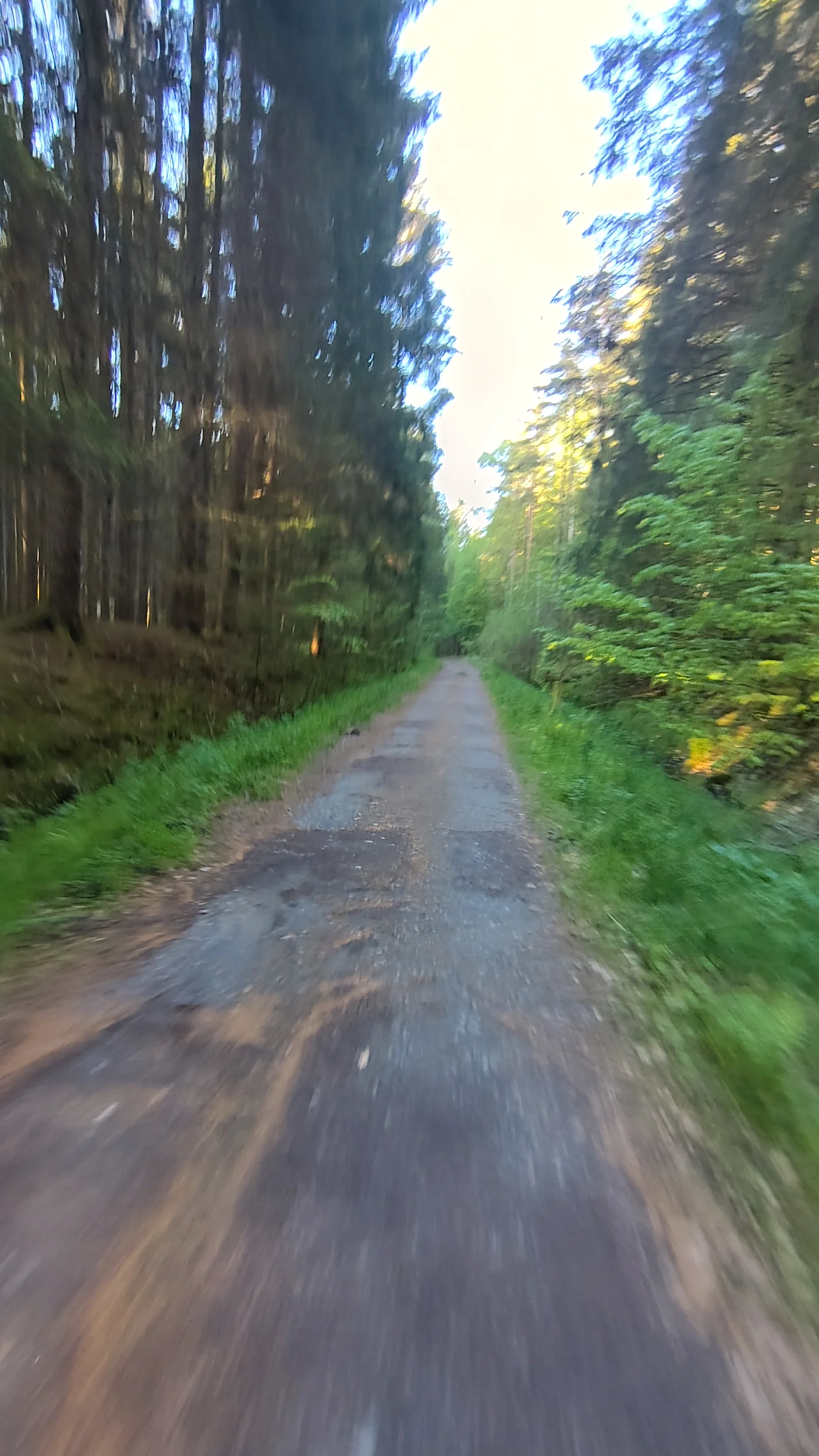 10571.webp