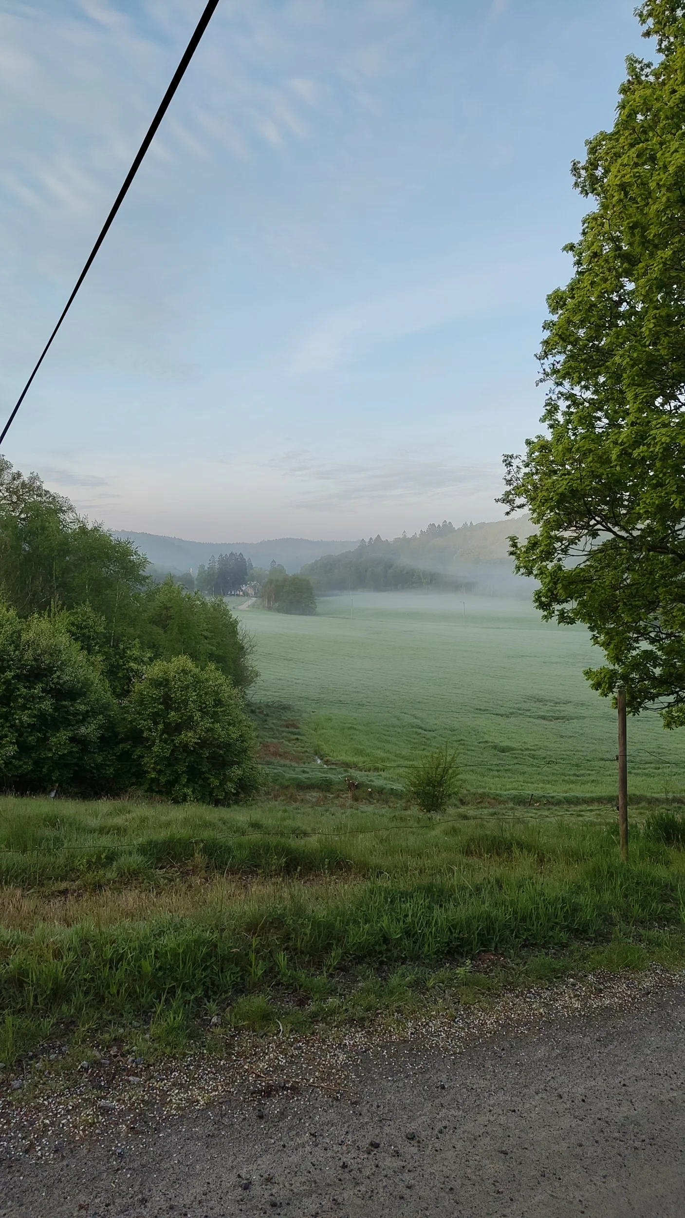 10650.webp