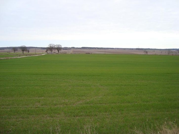 11.JPG ht=544