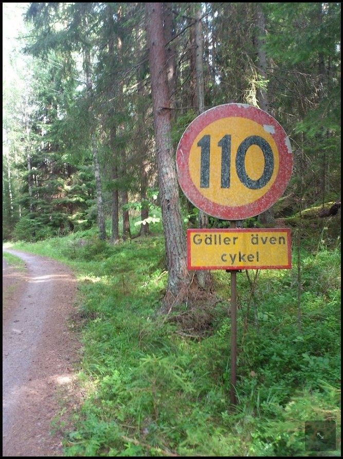 110.jpg