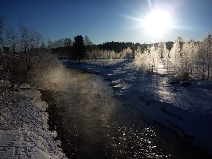 110315Morgonljus.jpg ht=544