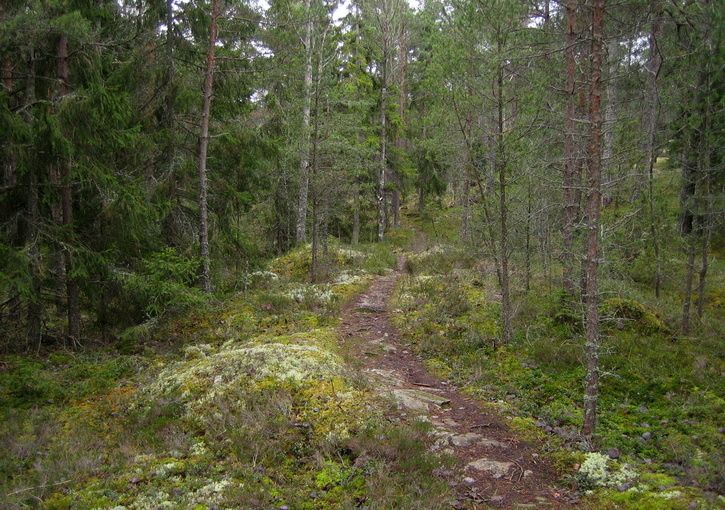 111203-ix-09h.jpg