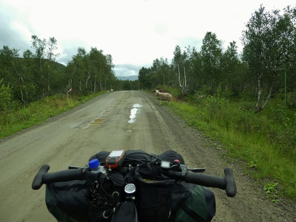 11P10706781024x768.jpg