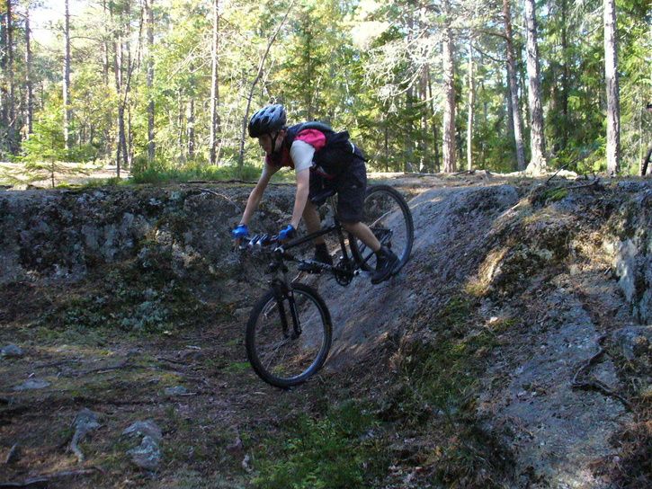 11ralfbrant.jpg ht=544