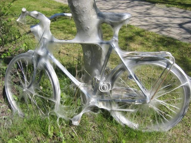 12-cykel_vid_trad-normal.jpg ht=480