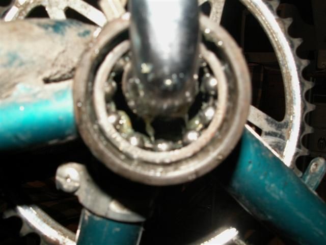 12.JPG ht=480