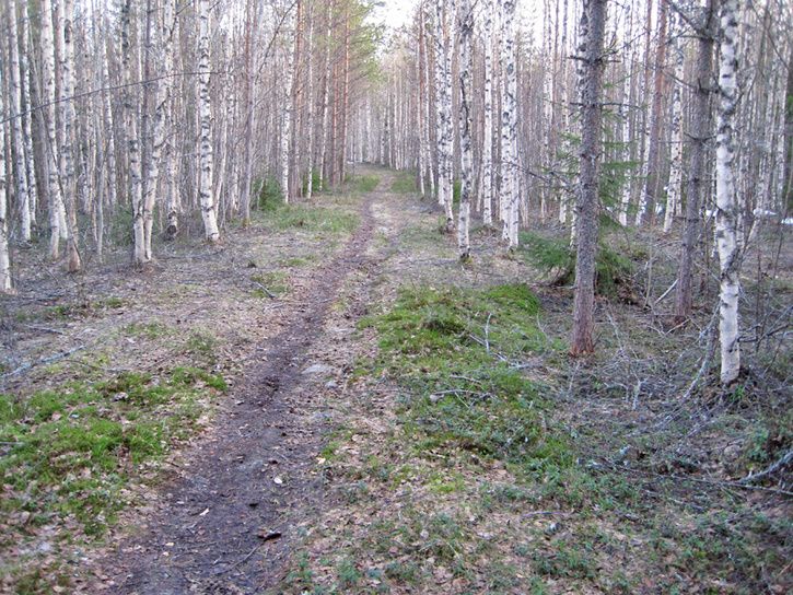 120503singletrackkont.jpg