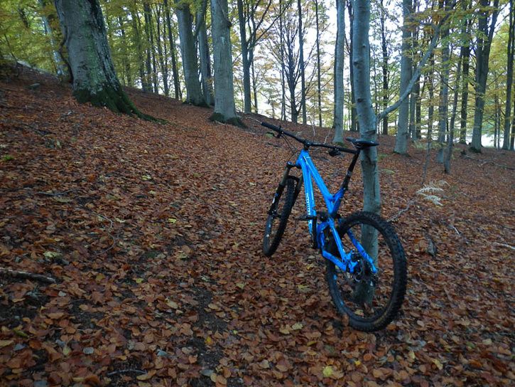 121021_9.jpg
