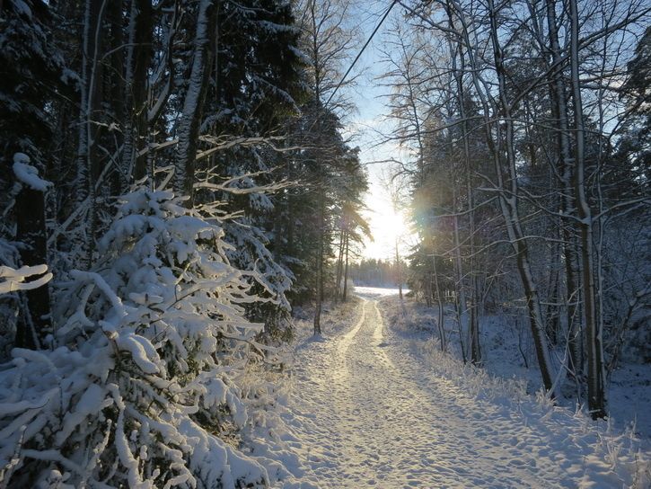 121202-s100-045-BC.jpg
