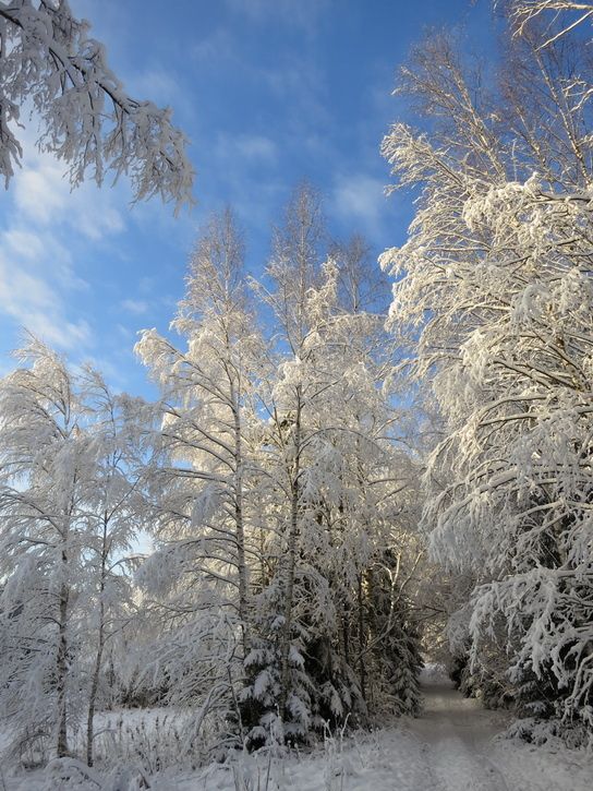 121202-s100-070-BC.jpg