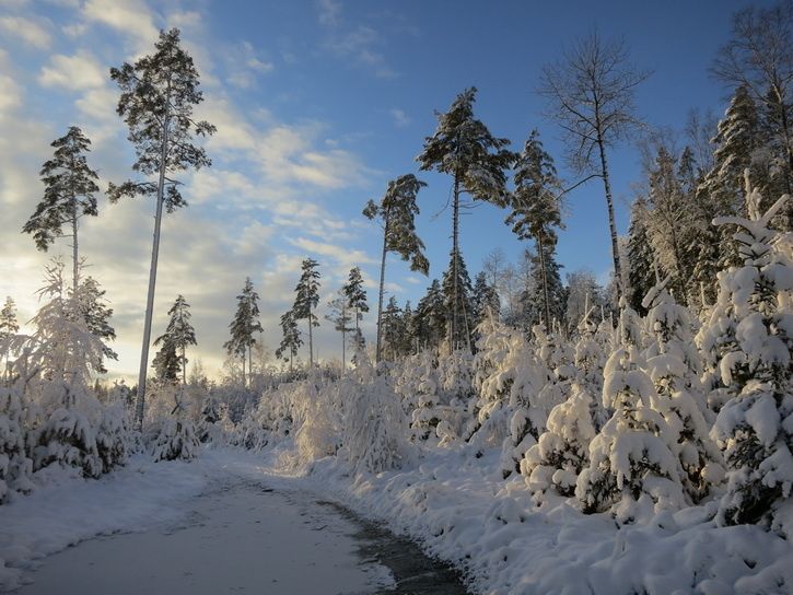 121202-s100-072-BC.jpg