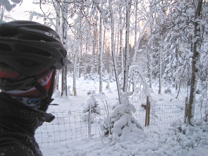 121205hage.jpg