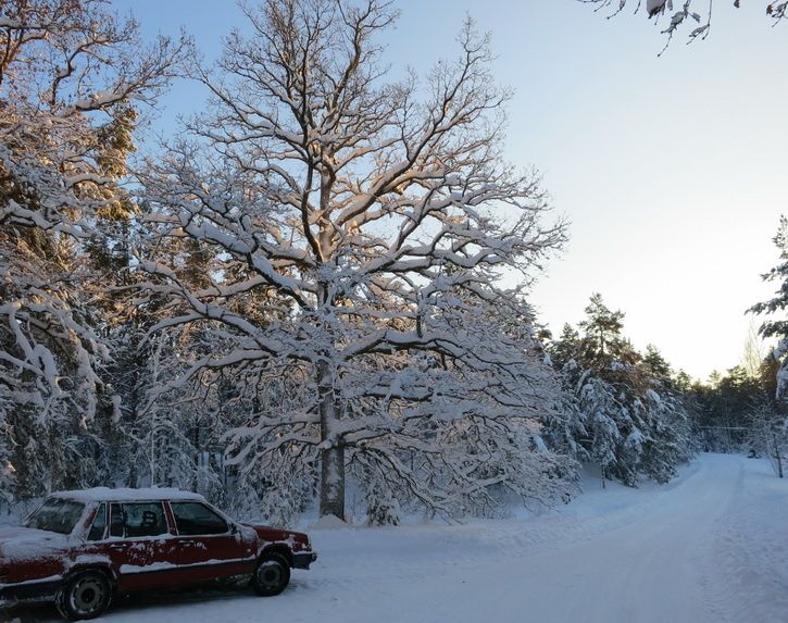 121208-s100-53-BC.jpg