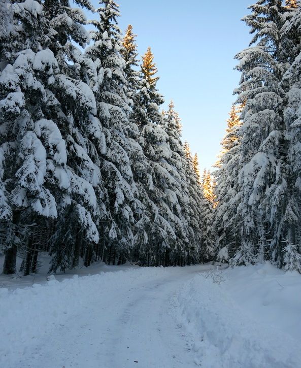 121208-s100-54-BC.jpg