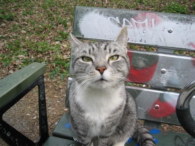 123_2317Small.JPG ht=480