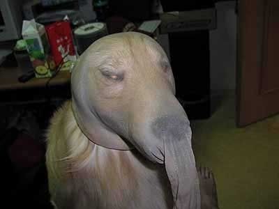 1273946177291.jpg ht=300