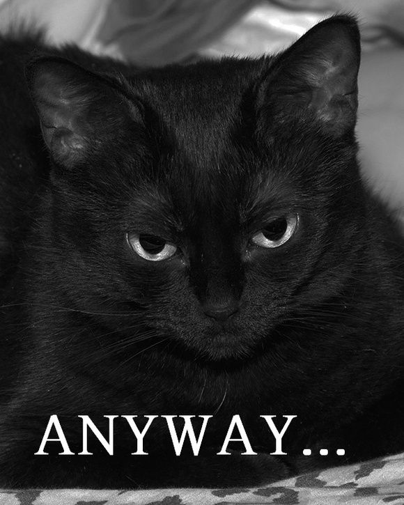 1286059528561.jpg ht=725