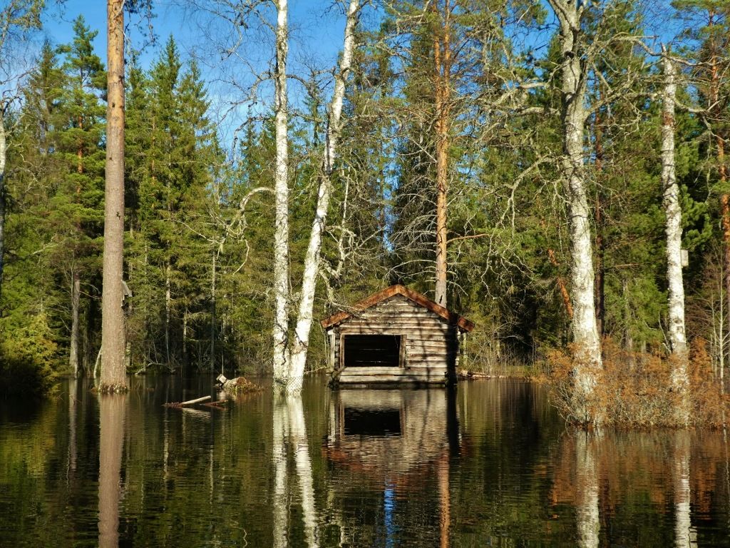 12cP10502011024x768.jpg