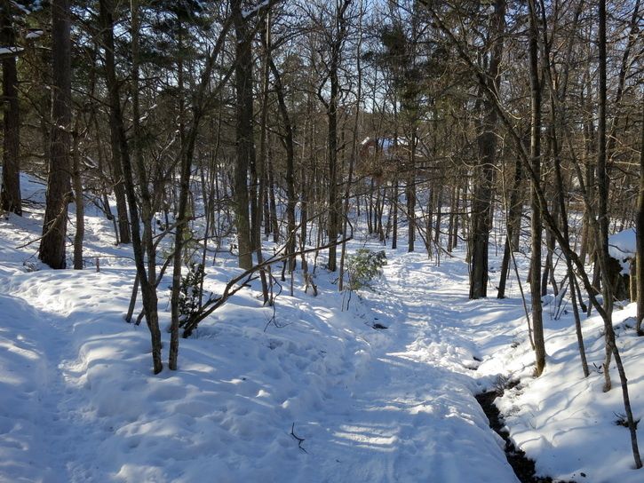 130224-s100-01-BC.jpg