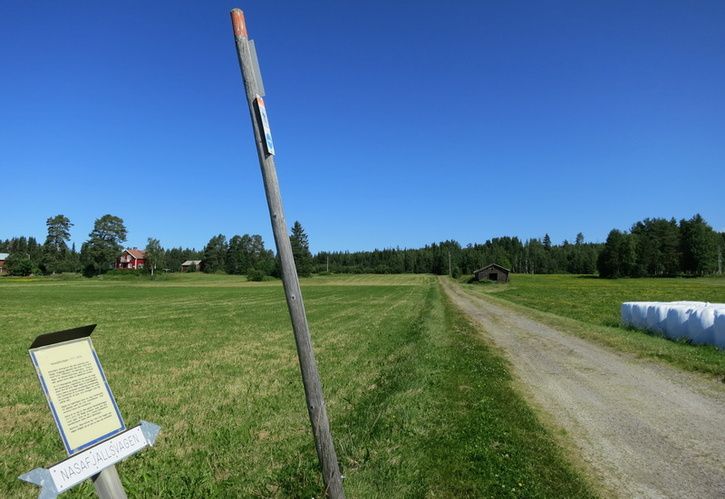 130723-s100-006-del3-anystrom.jpg