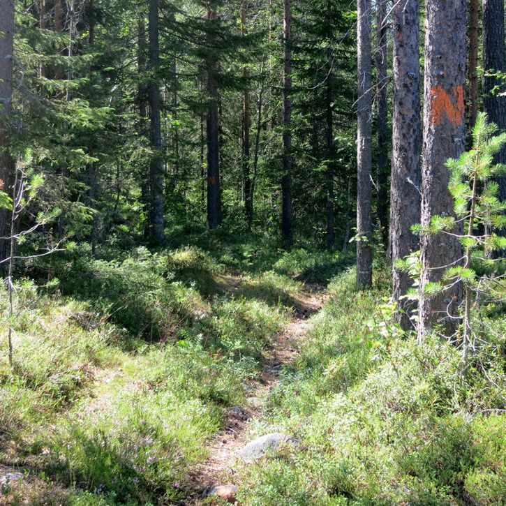 130723-s100-012-del3-anystrom.jpg
