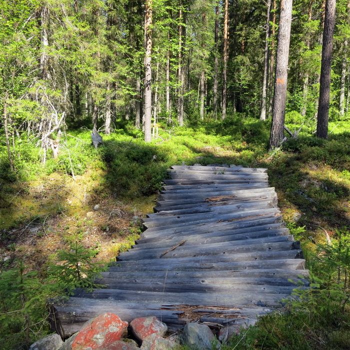 130723-s100-016-del3-anystrom.jpg