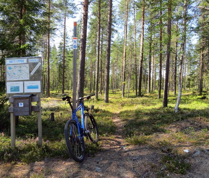 130723-s100-137-del2-anystrom.jpg