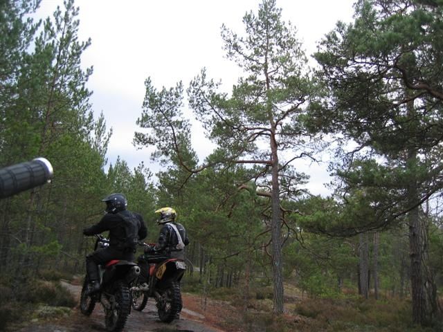 139_3984Small.JPG ht=480