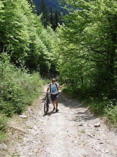 14nospeed.JPG ht=615