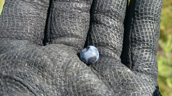 14042957316570.jpg