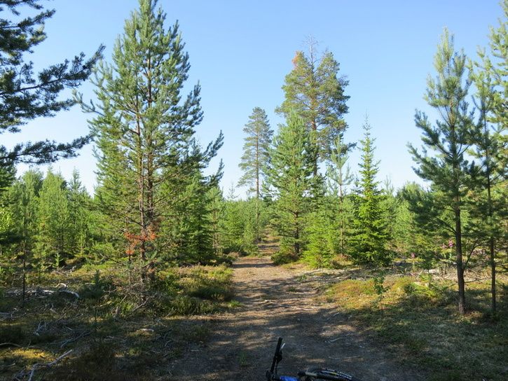 140721-102-del-1-anystrom.jpg