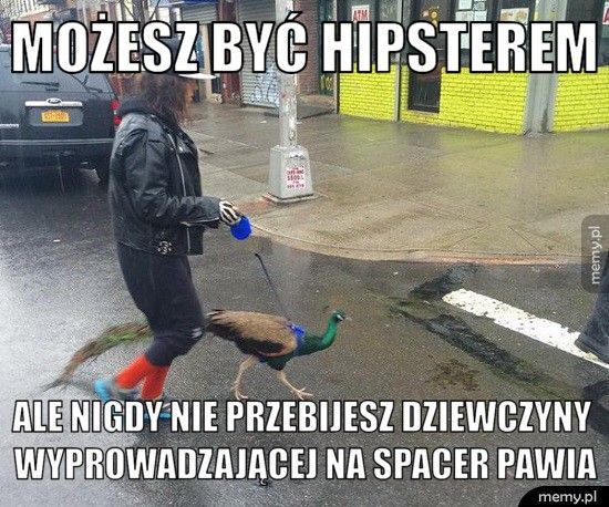 14626471075362.jpg