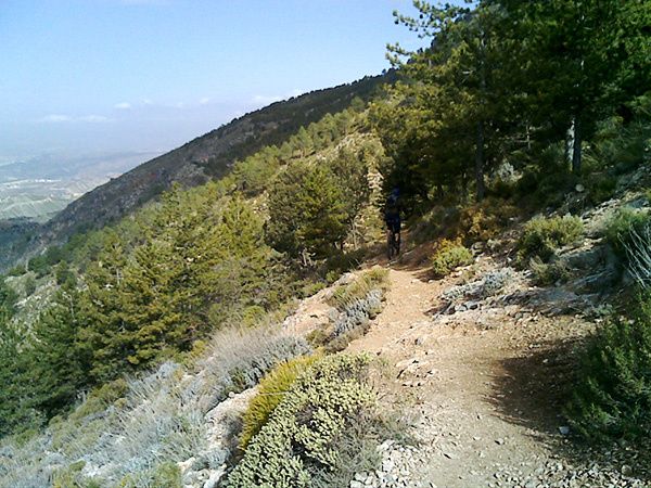 15022008013.jpg ht=450