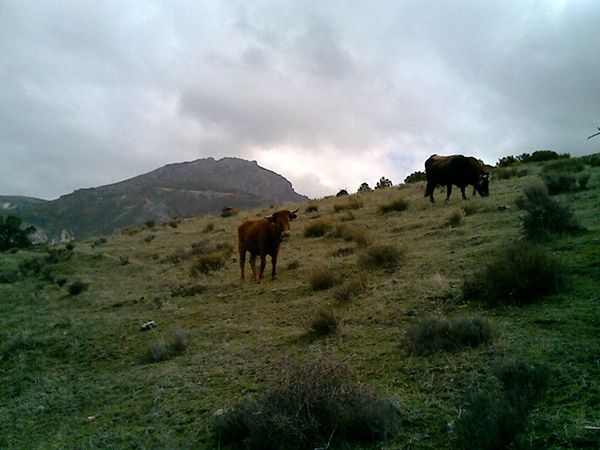 15022008035.jpg ht=450