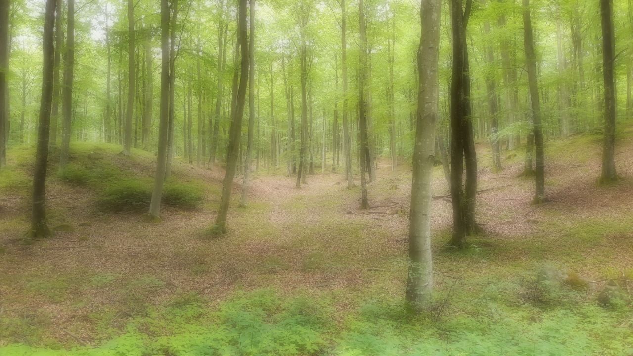 1516218513138.jpg