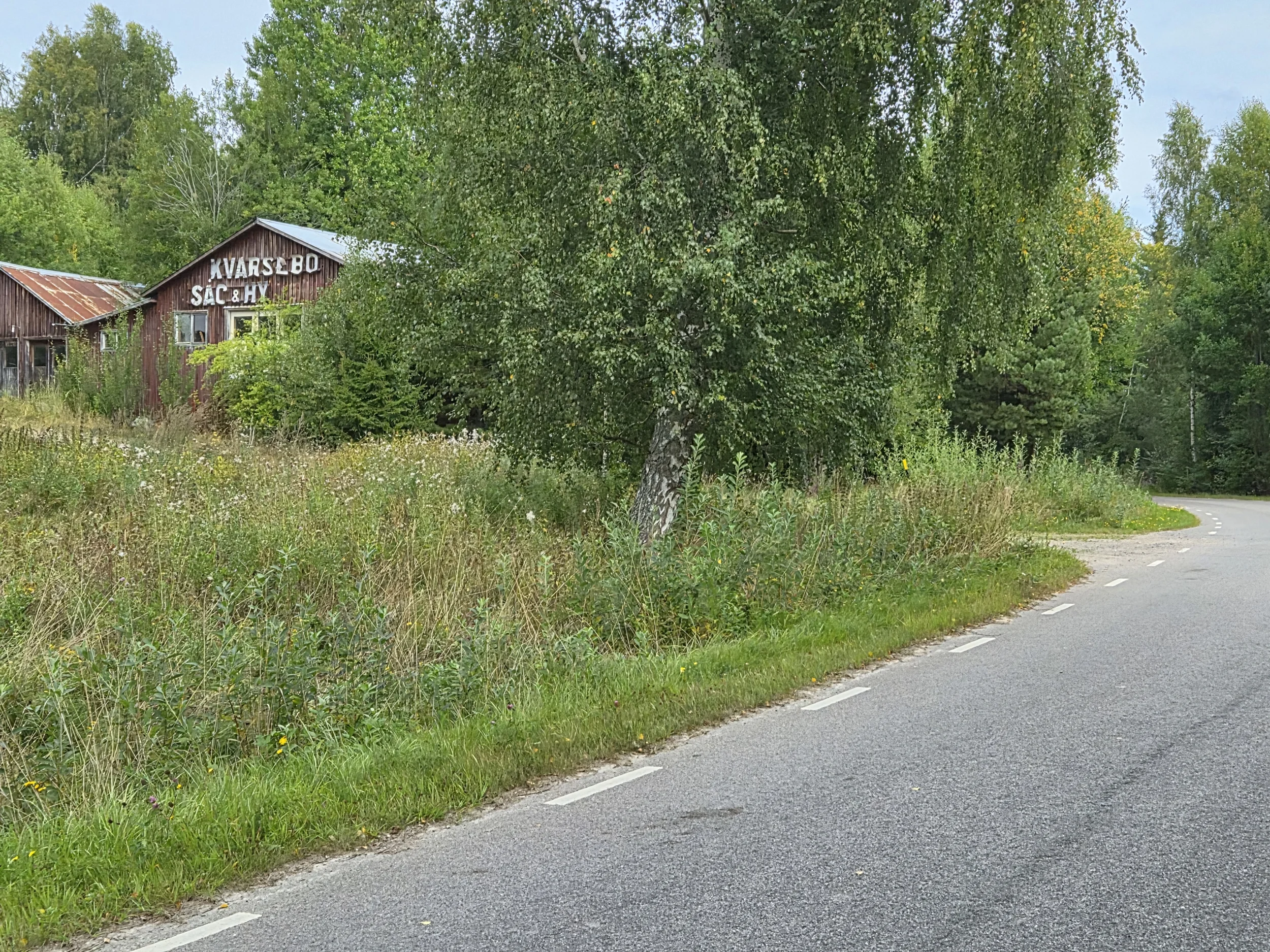 15368.webp