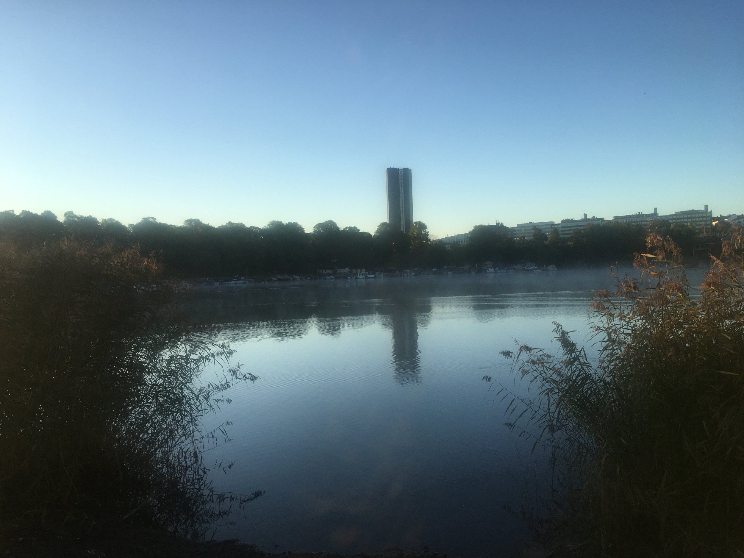 15410EFF-D51F-41E4-BB50-D388BA5F477F.jpeg