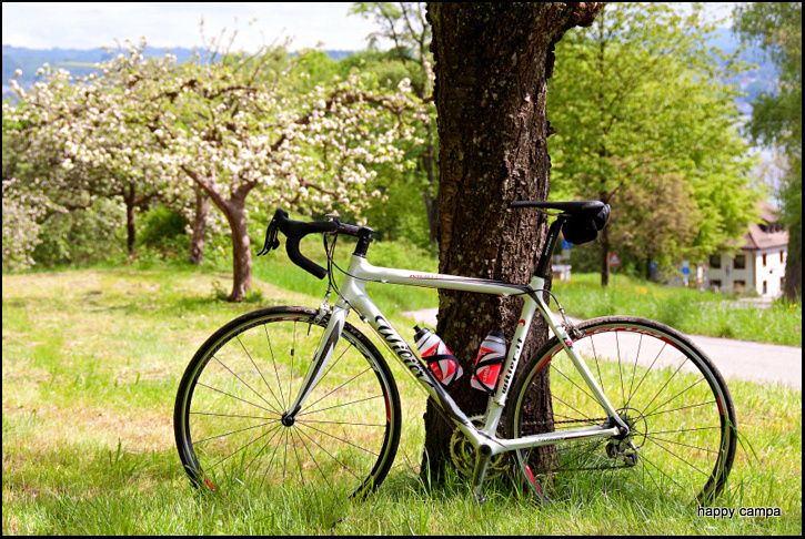 154_DSC3042.jpg ht=486