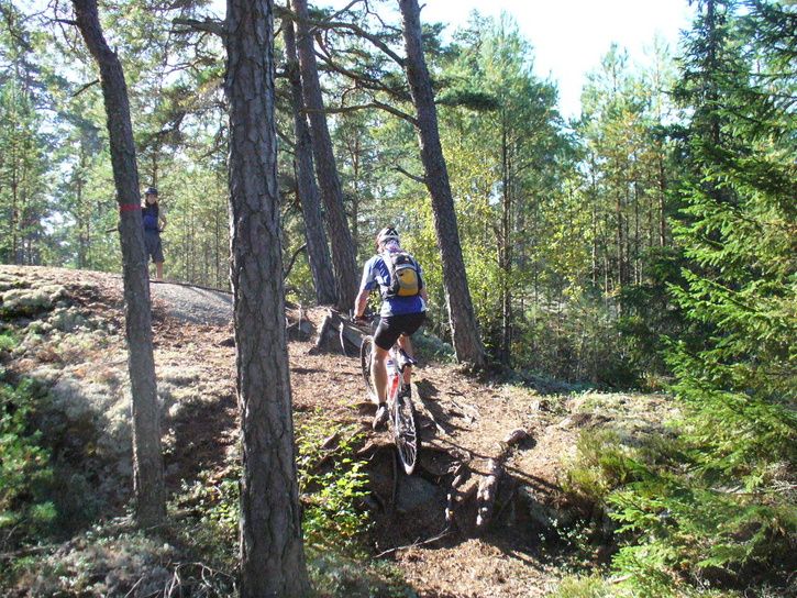 15backepepe.jpg ht=544