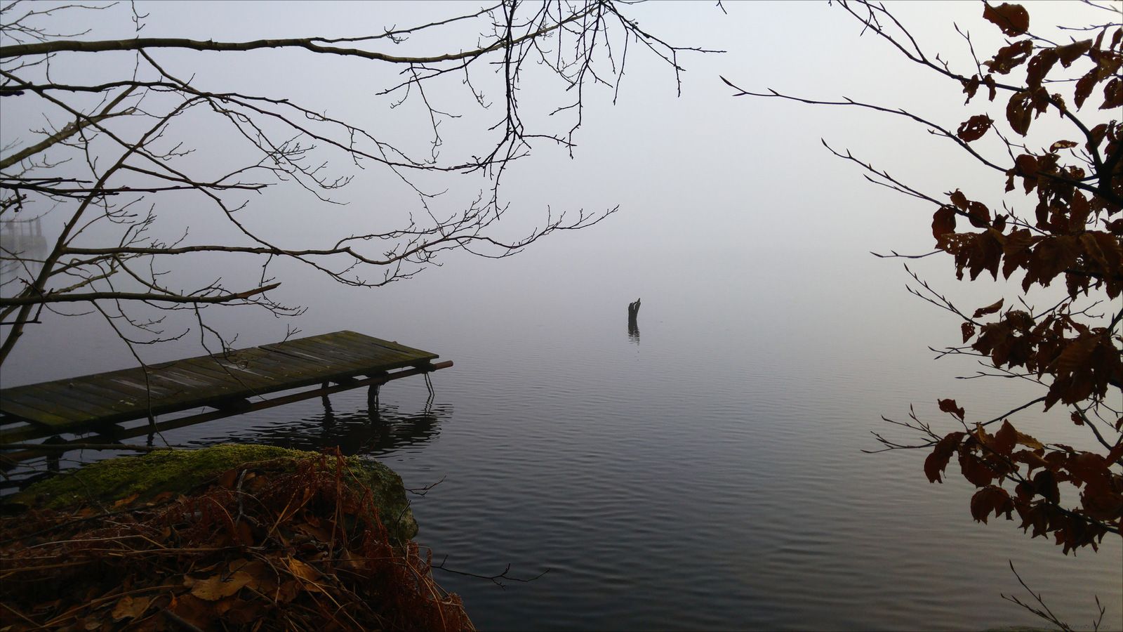 160224fog.jpg