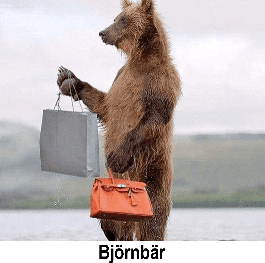 1663937048690.png