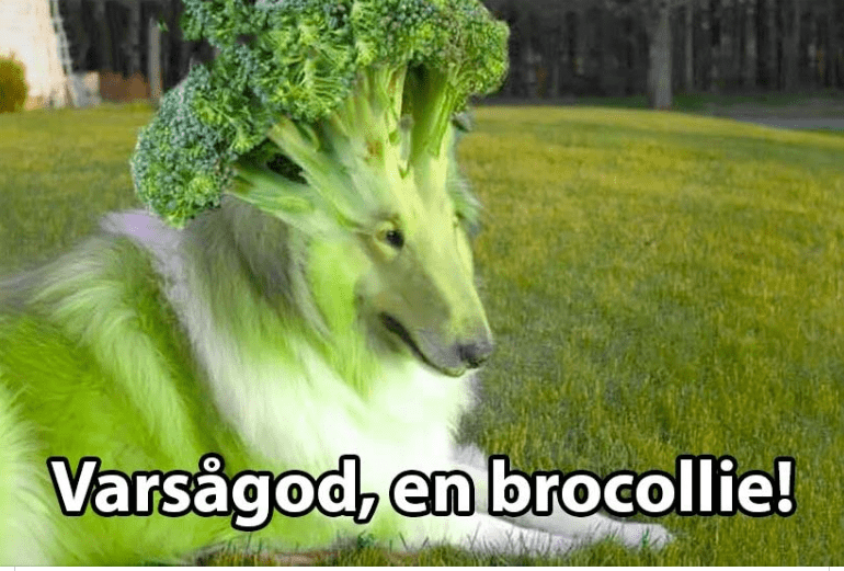 1663937128728.png