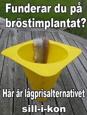 1663963493925.jpeg
