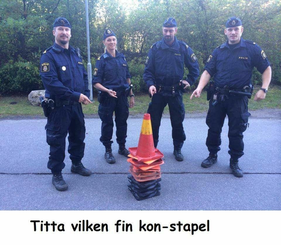 1664044084485.jpeg